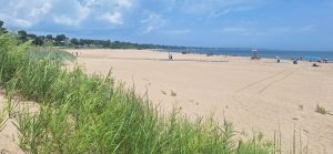 2026 North and Zoo Beach Report Card Released