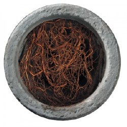 Dense root system filling a circular concrete planter, viewed from above.