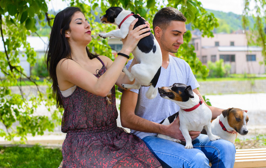 Animal Licensing & Ownership