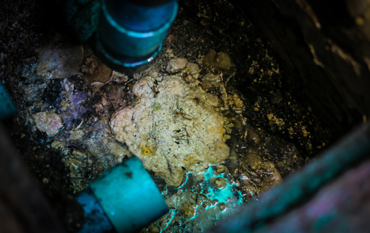 Close-up of a grease blockage in a drain with pipes visible. Indicates a plumbing issue.