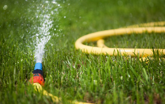 Water spraying from a yellow garden hose on green grass. Focus is on the water stream and hose nozzle.