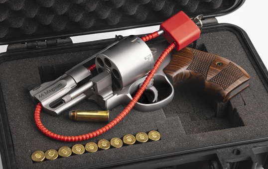 Firearm Safety Gun Lock Distribution