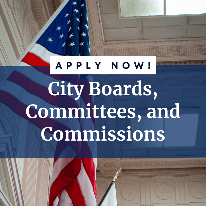 Boards-Committees-Commissions-news-icon-800-x-800-px-1