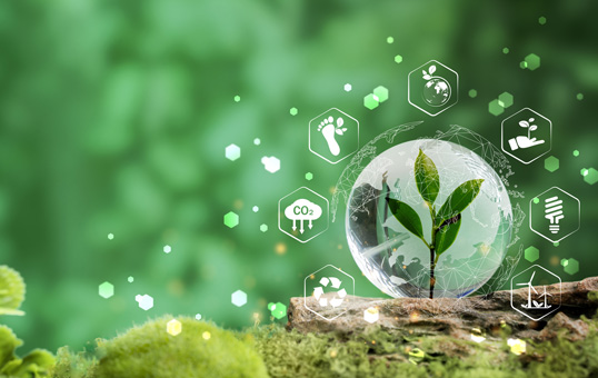 Sprout growing in glass globe, surrounded by environmental icons, on mossy wood. Symbolizes sustainability and ecological