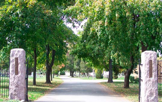 Tree-lined cemetery entrance with stone pillars and iron gates on a sunny day.