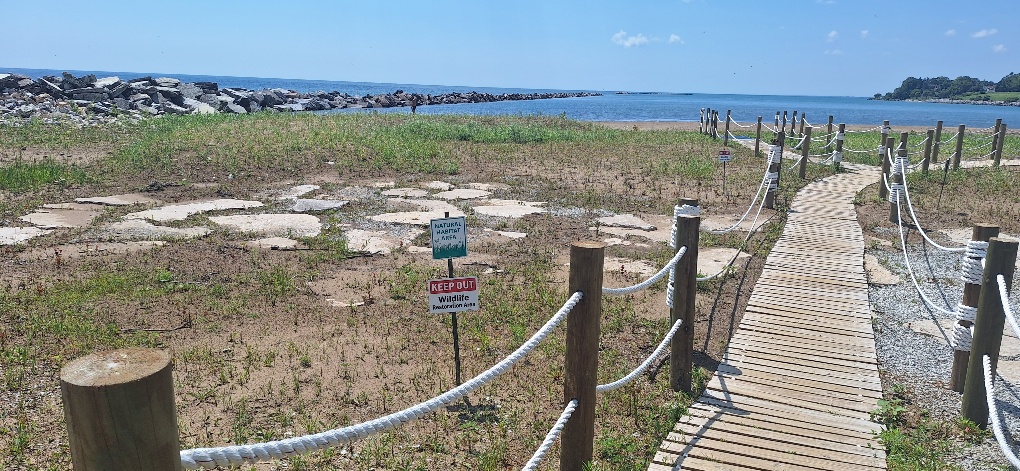 Wooden boardwalk with rope railing leads to a beach and ocean on a sunny day.
