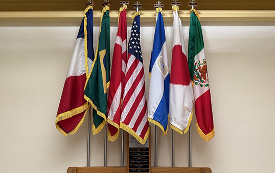 Flags of various countries hanging on a rack against a beige wall.