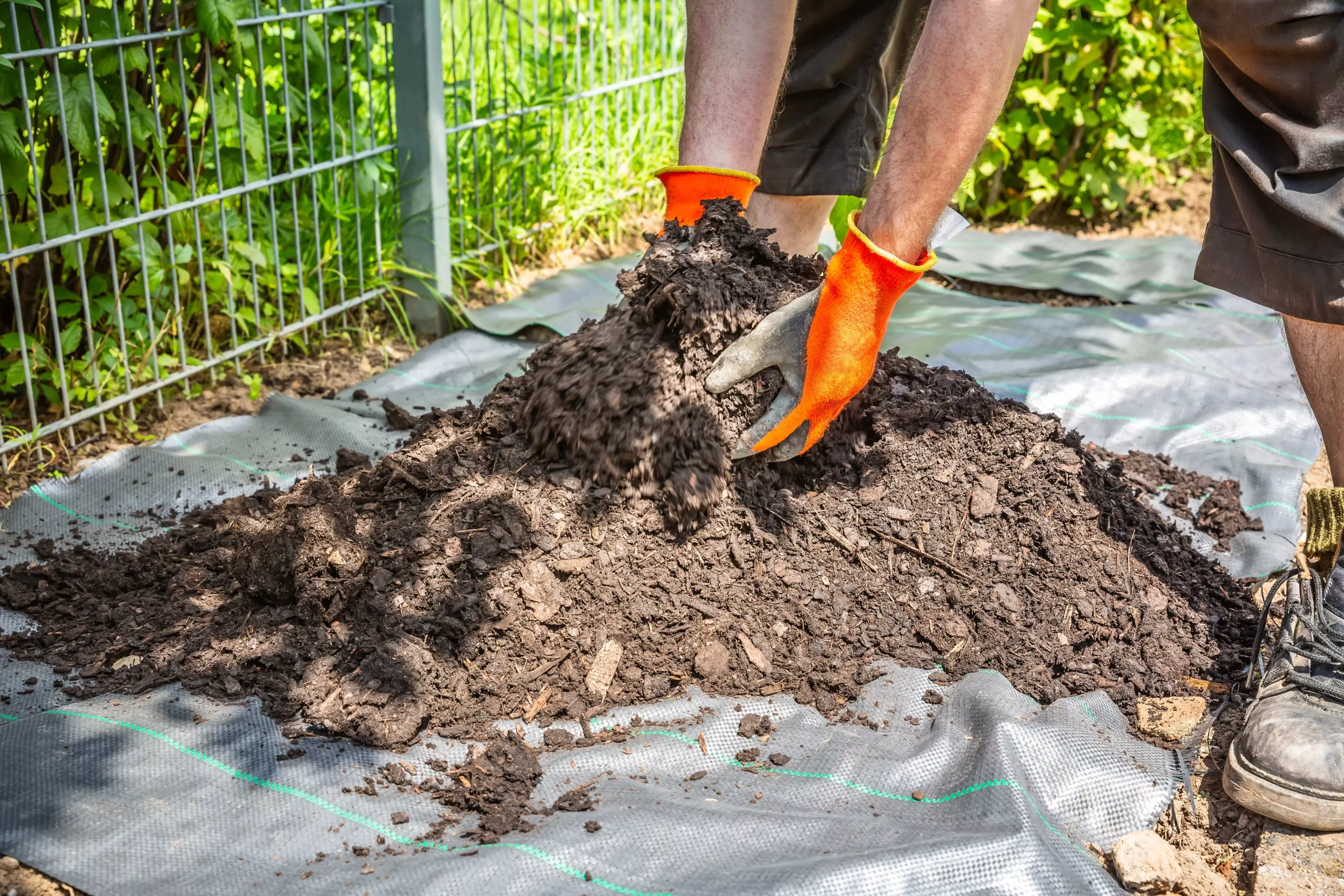 Hands in orange gloves working with soil on a white tarp in a garden setting. Preparing soil for planting.