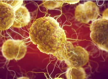 A red background showing floating yellow blobs with tendrils, depicting a bacteria in the body.